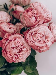 pandora item